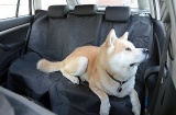 Deka ochranná do auta pro psa Compass